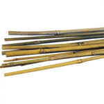 Bamboo Canes - (5ft) 1.5m x 12mm-14m (Pack of 125)