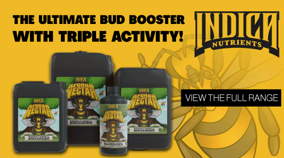 Indica Nutrients Afghan Nectar 1 litre