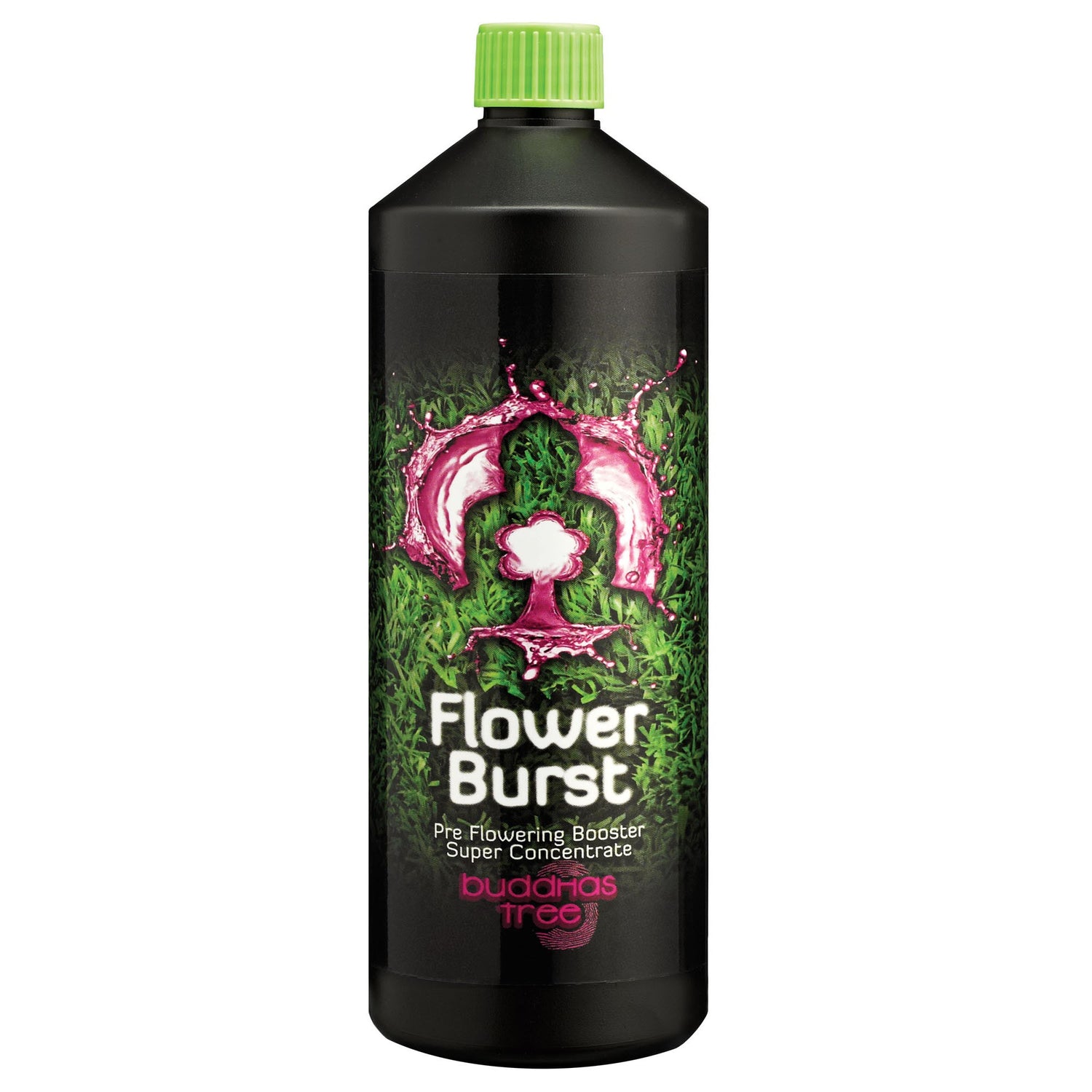 Buddha's Tree Flower Burst 1L