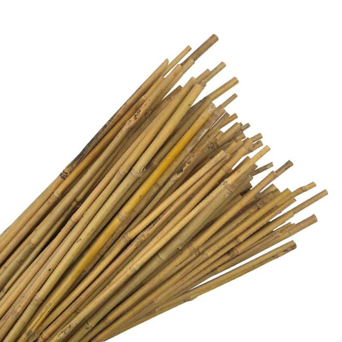 Bamboo Canes - (6ft) 1.8m x 12-14mm (Pack of 25)