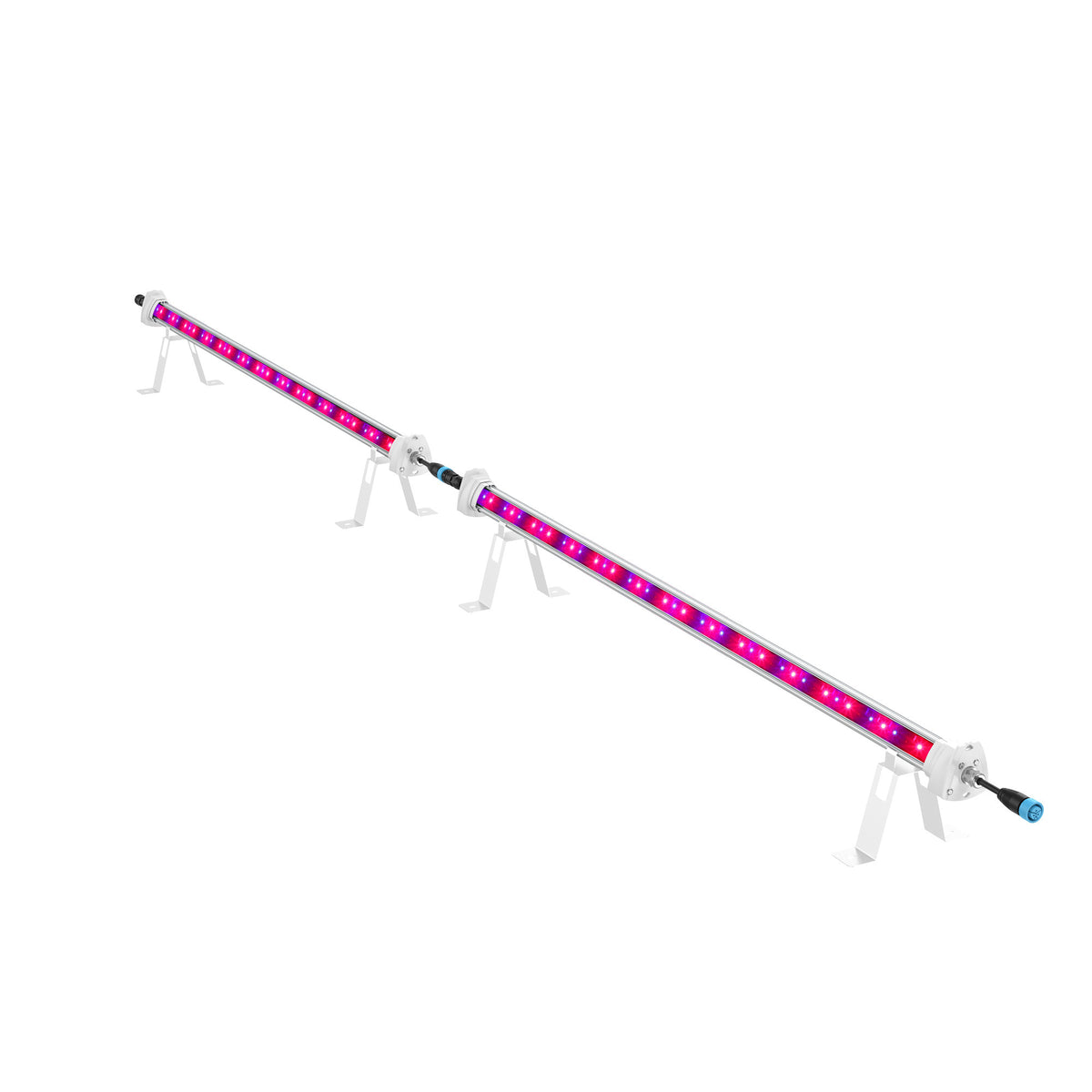 Maxibright MaxiLED Pro Under Canopy LED 2 x 120W (including 1.2m  extension cable and dust cap)