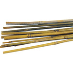 Bamboo Canes - (4ft) 1.2m x 12-14mm (Pack of 250)