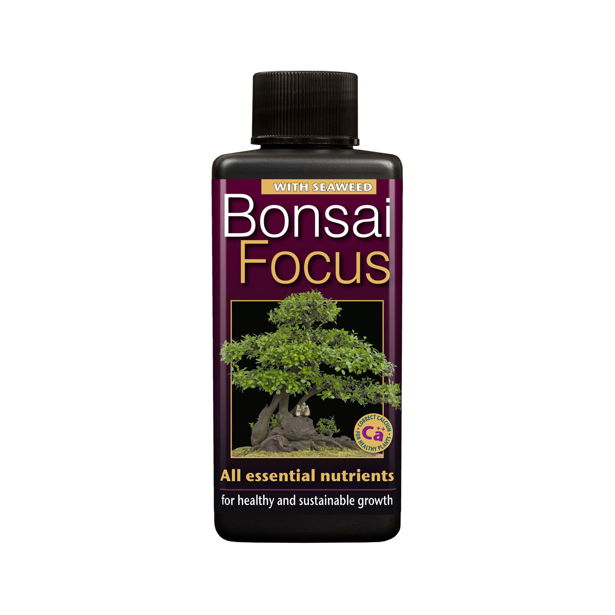 GT Bonsai Focus 100ml
