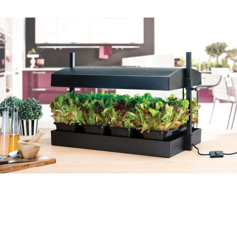 Garland Grow Light Garden Black